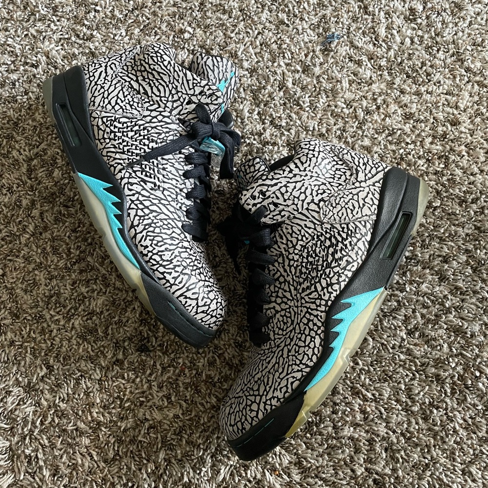 Air Jordan 5 (3lab5)